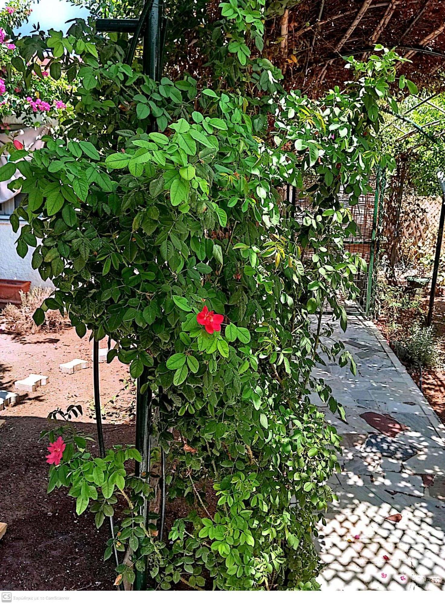Εξοχικό Maria Villa Ambelakia Exterior photo